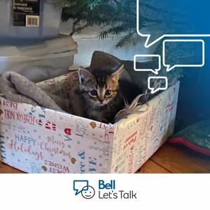 Meet your Posher, June